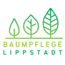 Baumpflege Lippstadt