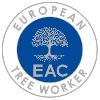 European tree worker in Lippstadt